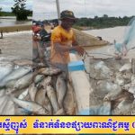 «ទំនប់ថ្មី» ក្នុងស្រុកអន្លង់វែង៖ ប្រភពជីវភាព និងធនធានធម្មជាតិដ៏មានតម្លៃសម្រាប់ប្រជាពលរដ្ឋ